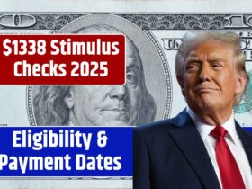 $1338 Stimulus Checks 2025