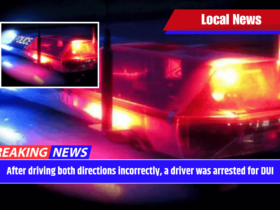 After driving both directions incorrectly, a driver was arrested for DUI