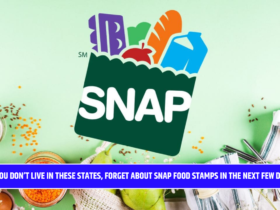If you don’t live in these states, forget about SNAP Food Stamps in the next few days