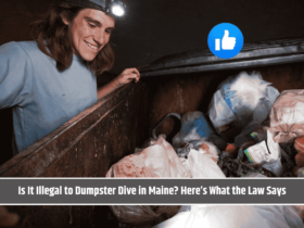Is It Illegal to Dumpster Dive in Maine? Here’s What the Law Says