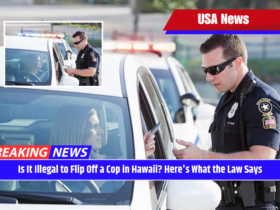 Is It Illegal to Flip Off a Cop in Hawaii? Here's What the Law Says