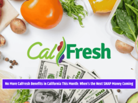 No More CalFresh Benefits in California This Month: When’s the Next SNAP Money Coming
