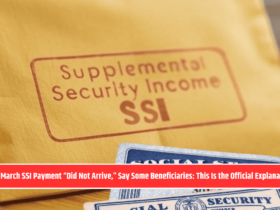 The March SSI Payment “Did Not Arrive,” Say Some Beneficiaries: This Is the Official Explanation