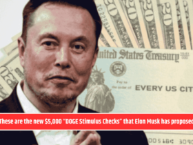 These are the new $5,000 “DOGE Stimulus Checks” that Elon Musk has proposed